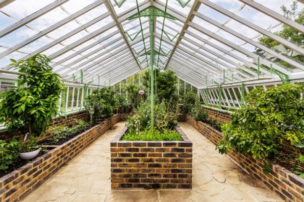 The Argus: The has has a lovely greenhouse